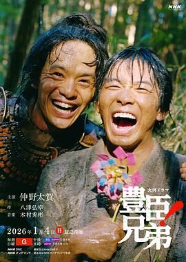 丰臣兄弟！电视剧